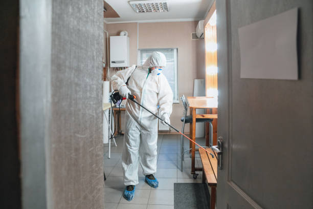 Professional Mold Inspection, Removal & Remediation in Thoreau, NM